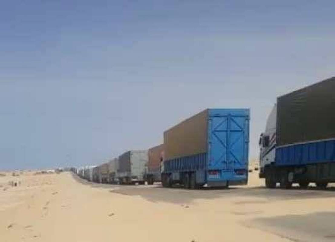 156715_large_1635870783