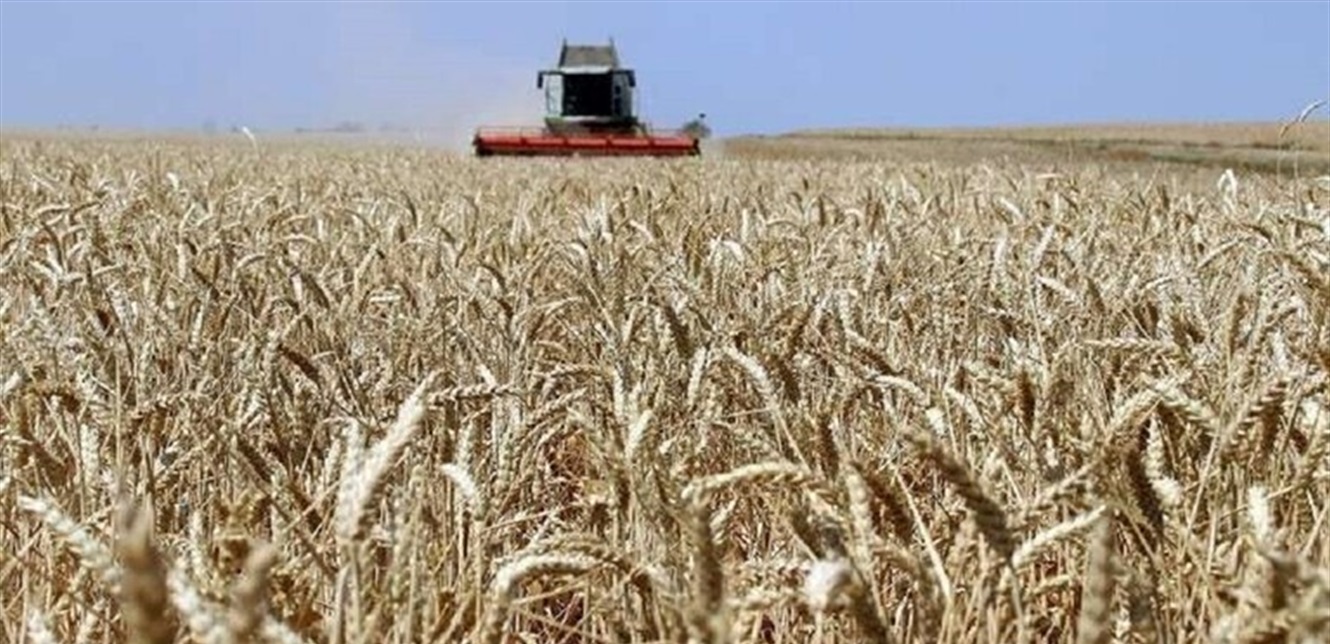 Doc-P-884890-637722068327312795