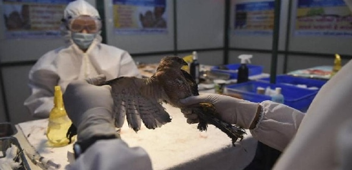 Doc-P-886667-637726446638460831