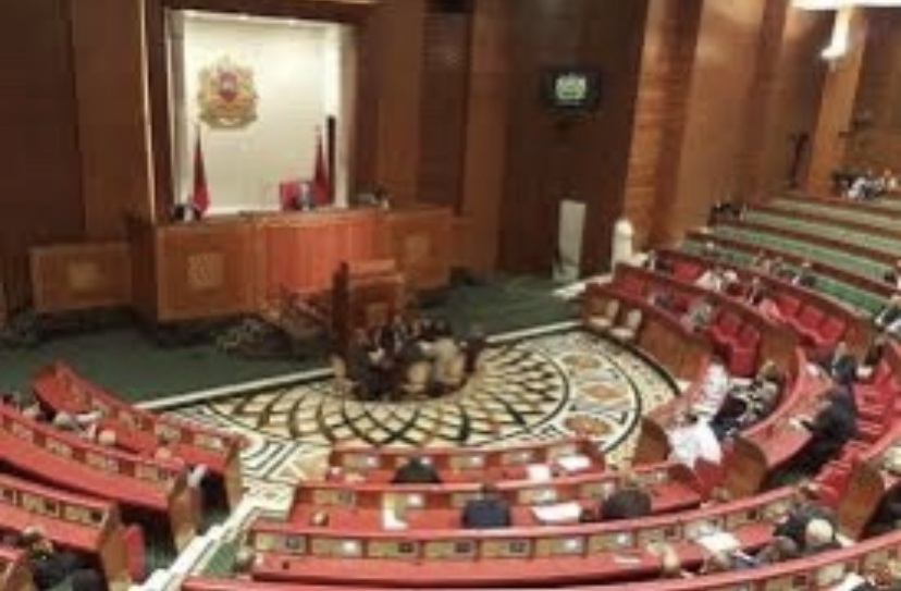 4135CF01-53BE-4565-A2D1-8AFEB4D6D8F9