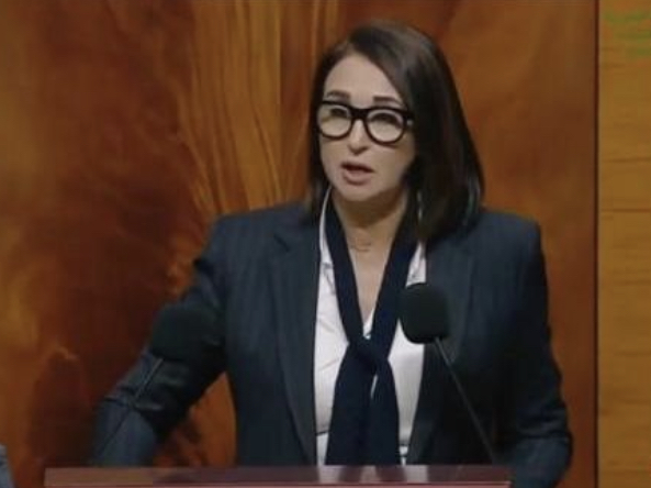 06A9781D-E51C-4012-BC89-147976A183CD