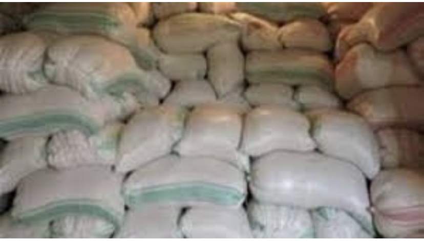 3E5207DF-1C06-4B2A-B669-DB8E48F35FBA