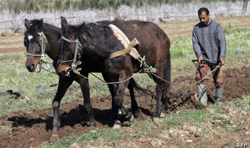 5291B806-89B6-4F88-AADF-1518178C7DF4