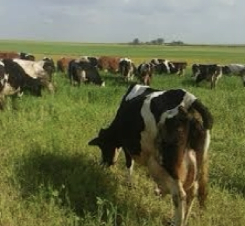 299EE2C8-FEC3-4377-8E2D-A26FFA7348B2