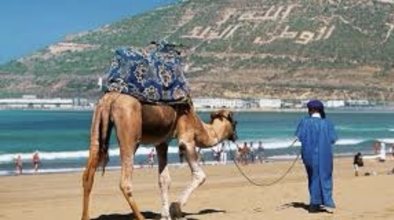 AC95F827-2E2F-40C3-B227-D0F72AD801DB