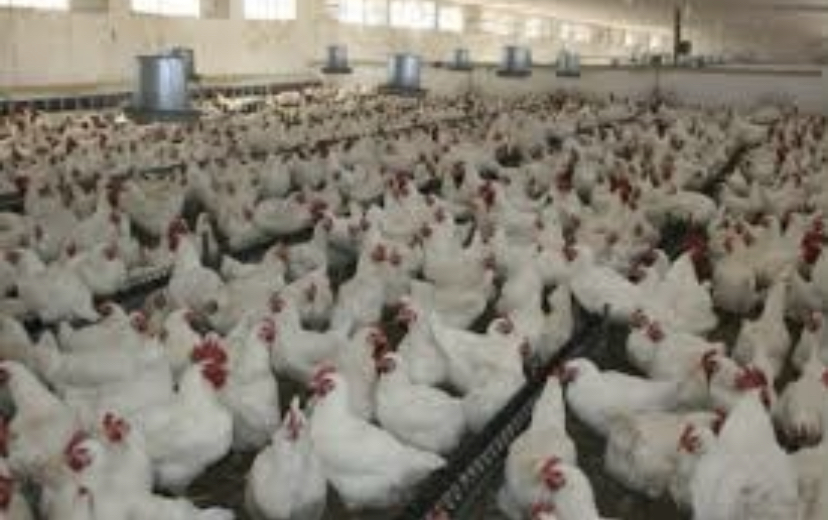 B2AAD96D-60EE-4D75-82C5-751F9862D49C