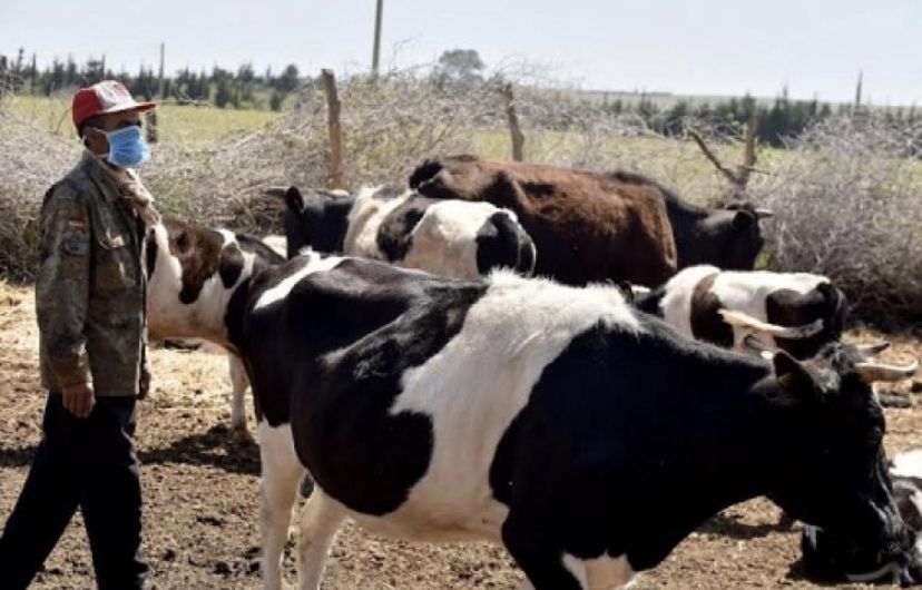 EBE353B2-3D4E-4EF8-A05A-DA74BBDDAA85