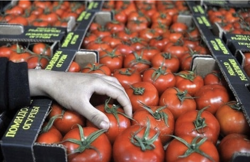 F3053B54-5CCF-48A4-B28E-372139603537