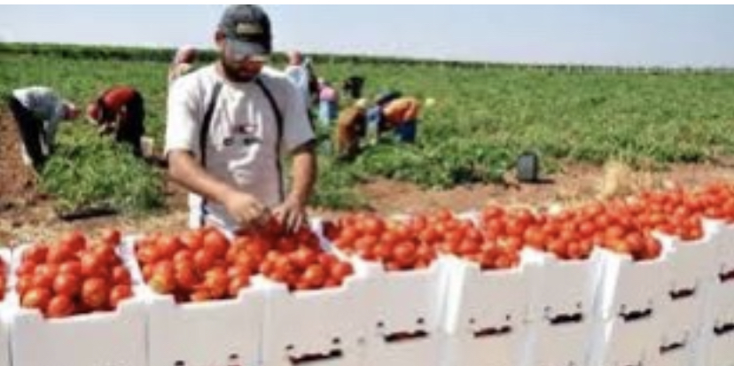 037EC3E8-4A72-487E-8133-031FF9C330EA