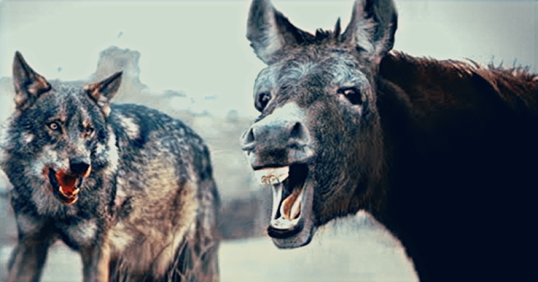 774594DE-10BD-49E9-8120-D72C526C9D44