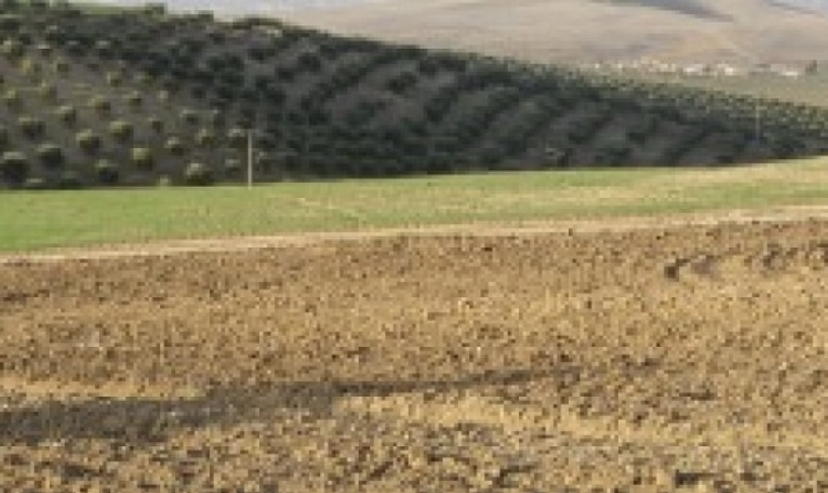 FA1C86F4-4445-4D72-BE31-1E9D31599A2C