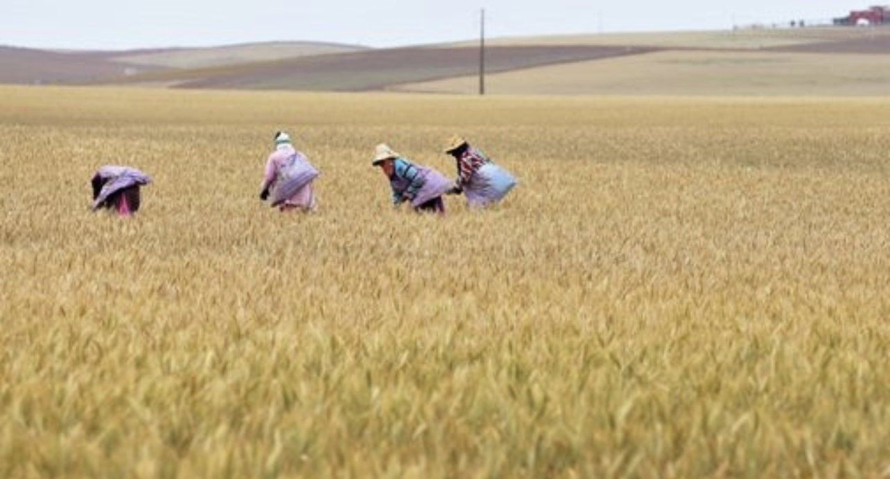 FF48D56A-FDF6-4D64-B6ED-4B68D43307E4