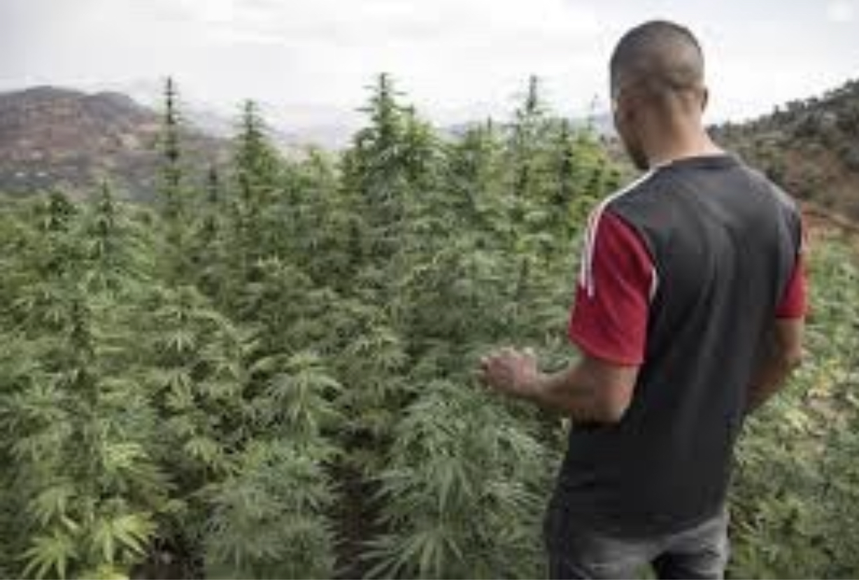 337566E7-C327-4A08-9A32-F42E7931AF06