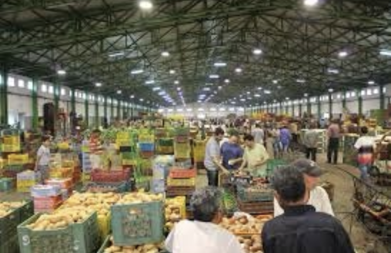 454DA860-A335-4D9B-B7D0-BEBBB185D2FD