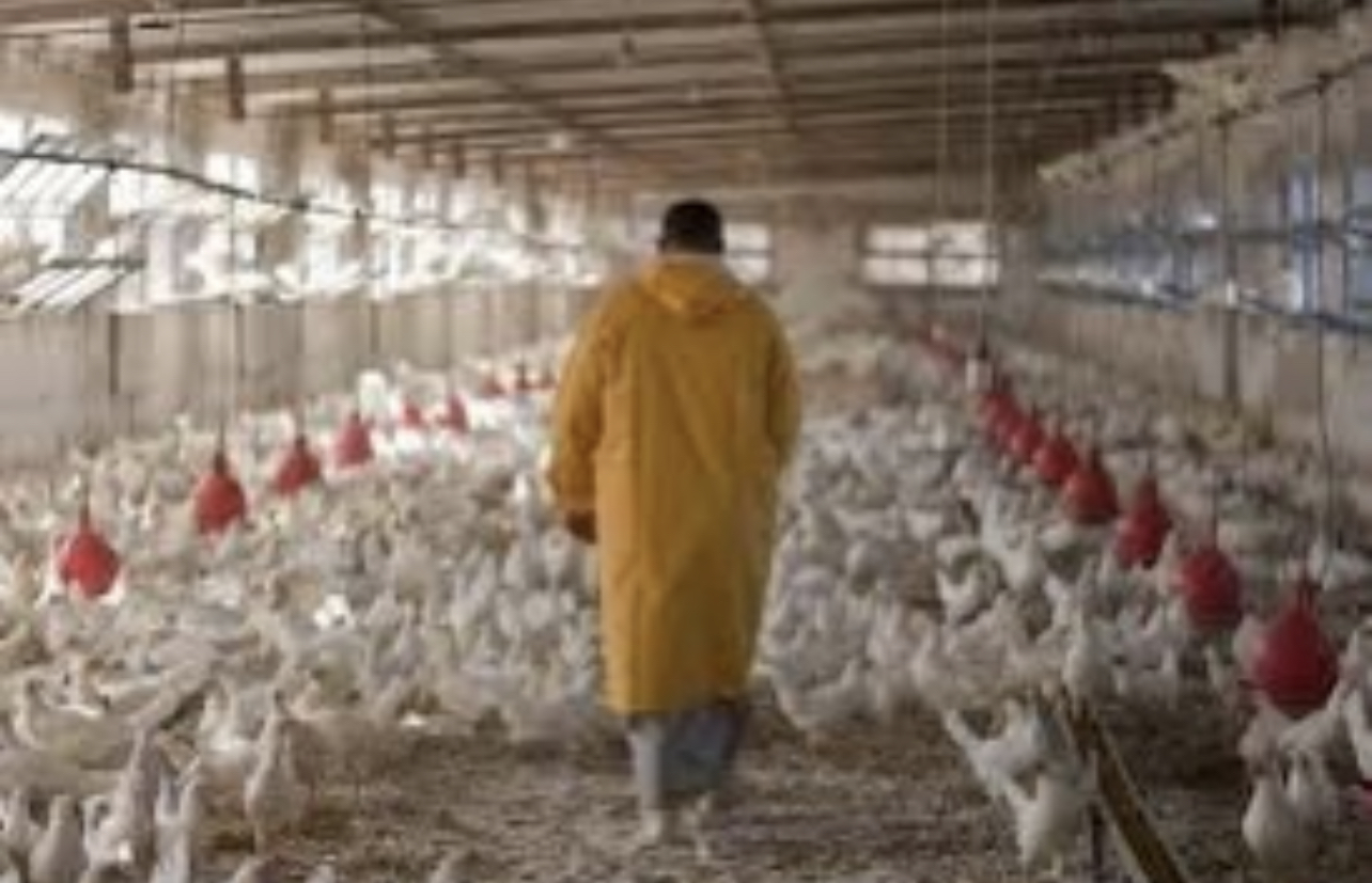 5B9A48B3-5CE9-401E-8B57-673FCF72C2DB