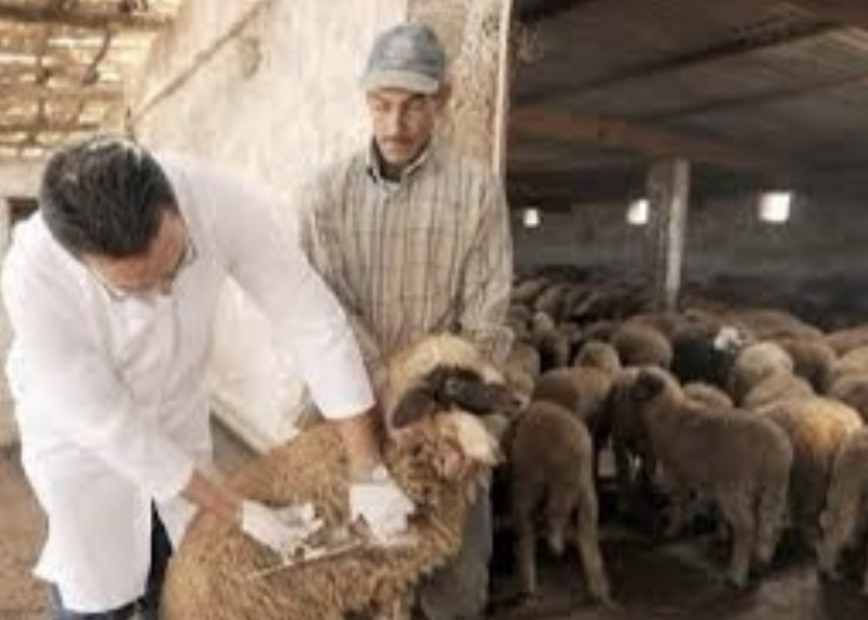 AC41252F-5F82-4096-9474-52CEFCAF0E36