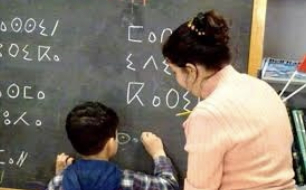 C5F3F923-42B2-4E8A-B3C1-BA78D1121BDE