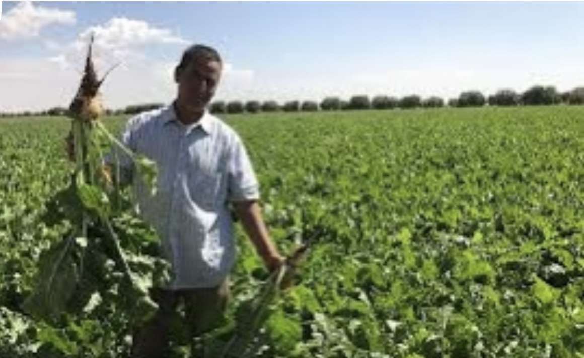 CDA3A127-442A-4746-B14D-8CA32B15C700