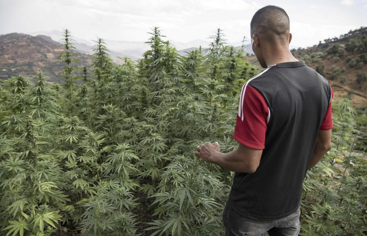 0115FC84-C70C-41C6-8D82-1DEE4D5596AE