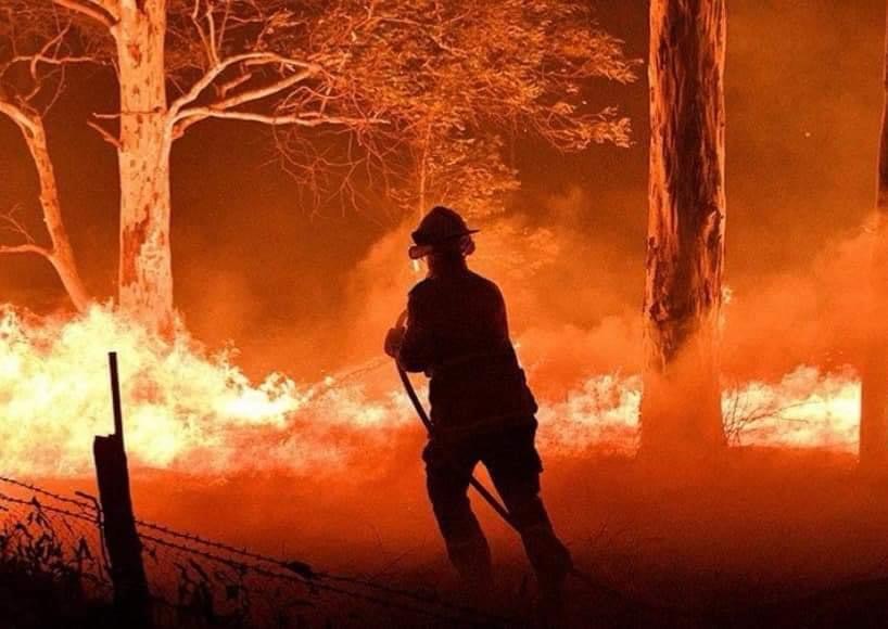 1CC704C5-16BA-43CF-973D-96457071D4A7