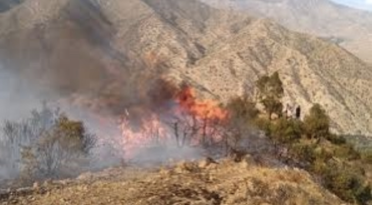 270B0A28-01AF-44AE-9F46-FE1E6376B7FA