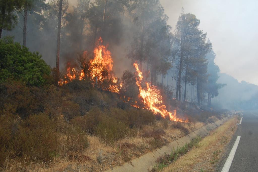 28176677-3591-4222-AE26-EAFB37909946