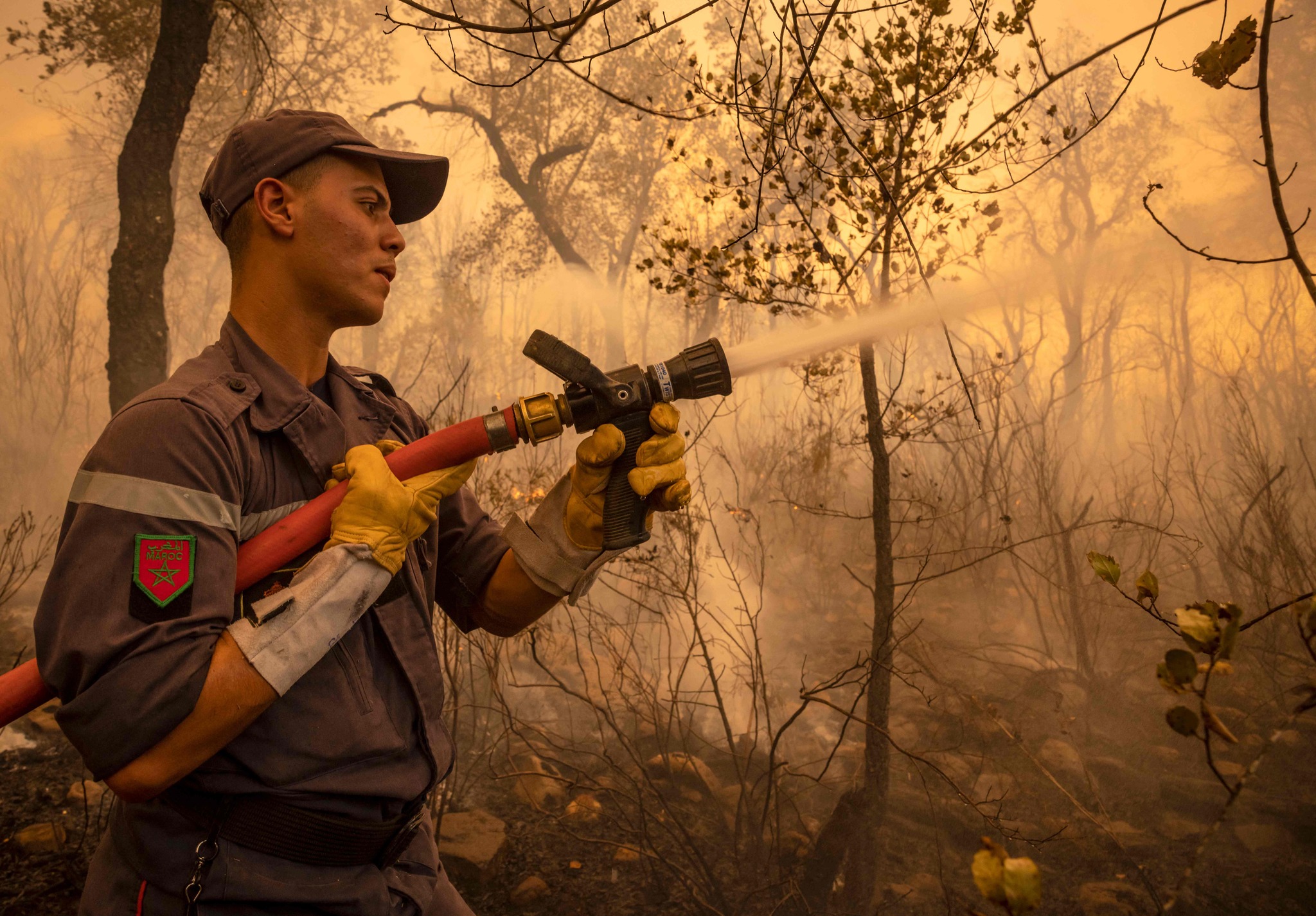 293116693_10159202691752984_3781082895569112559_n