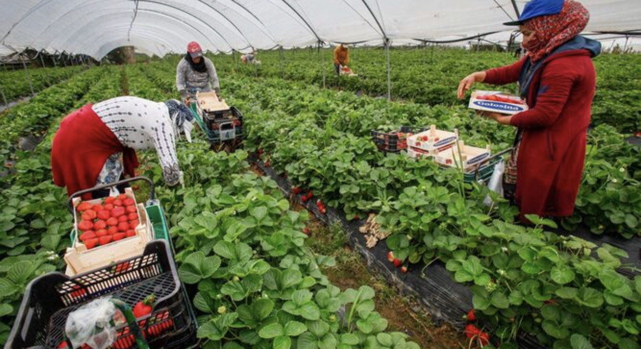 4D27E5E0-F3BB-4661-9ABD-4E2FCC683BE0