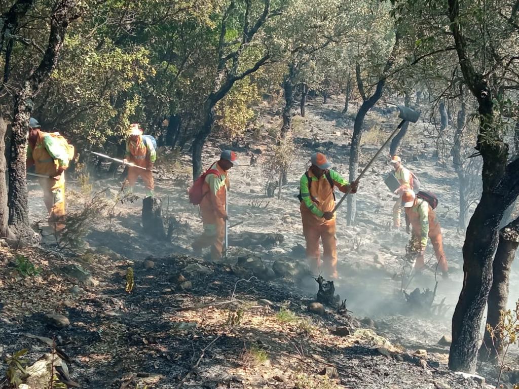 60076D83-20AE-4110-902F-EC8FF8DE4F4A