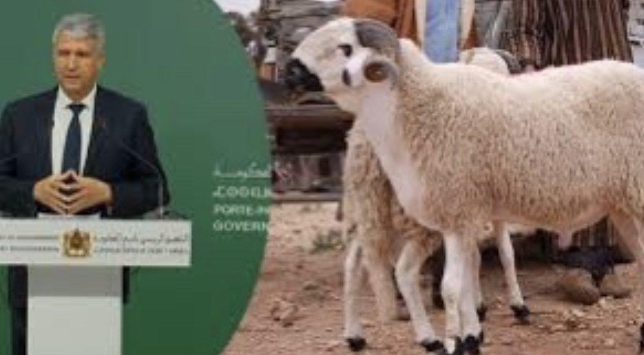 60CDAB11-8273-4578-A147-A11177D0BB0B