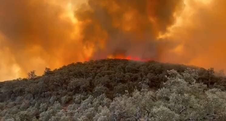 6D95D751-6E61-4B7C-88AB-740B8EB7B674