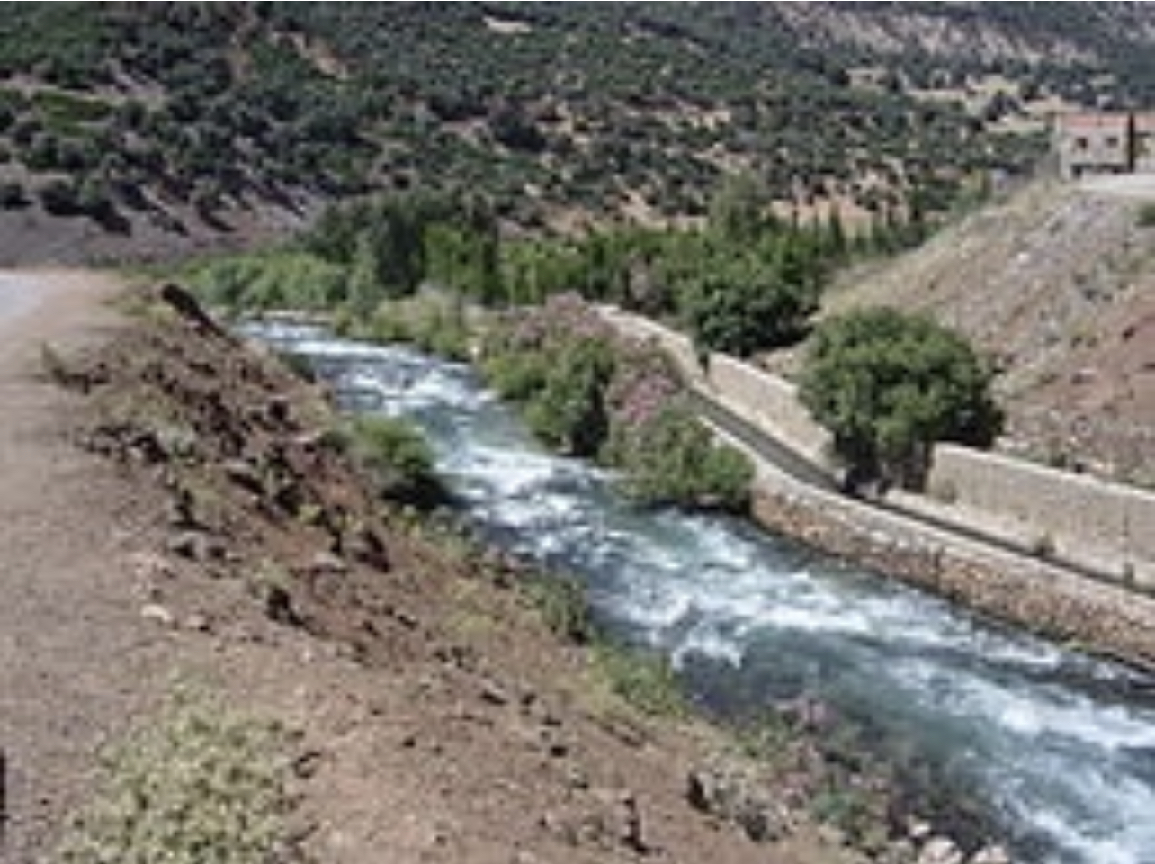 80EC2D37-F5BF-478D-B524-FA8973152301