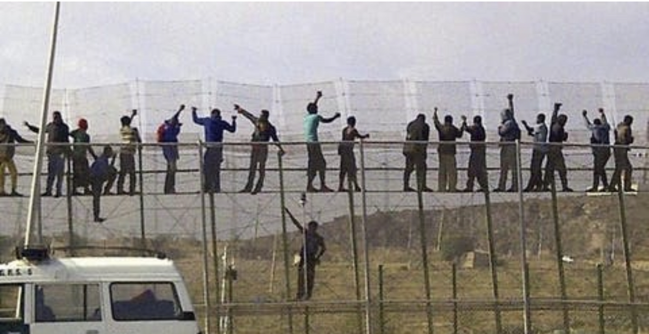 9203F449-5082-4C8A-BDFE-9CAFA29FDA00