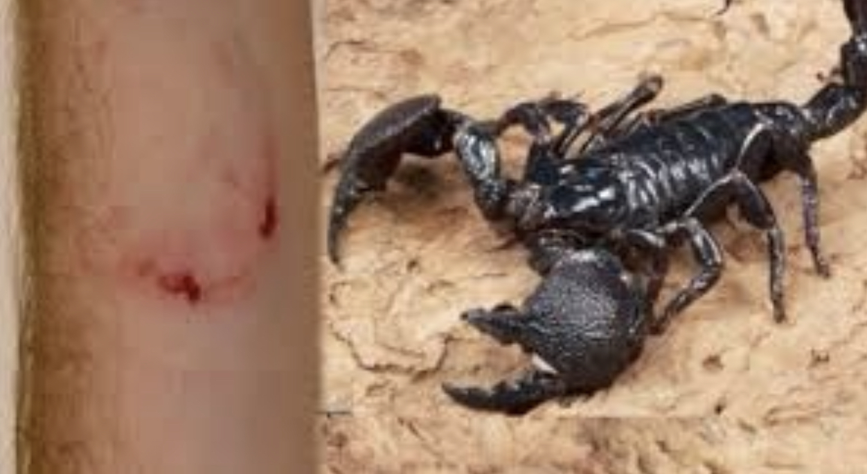 A000147D-4995-453B-B145-4AB87E1F4952