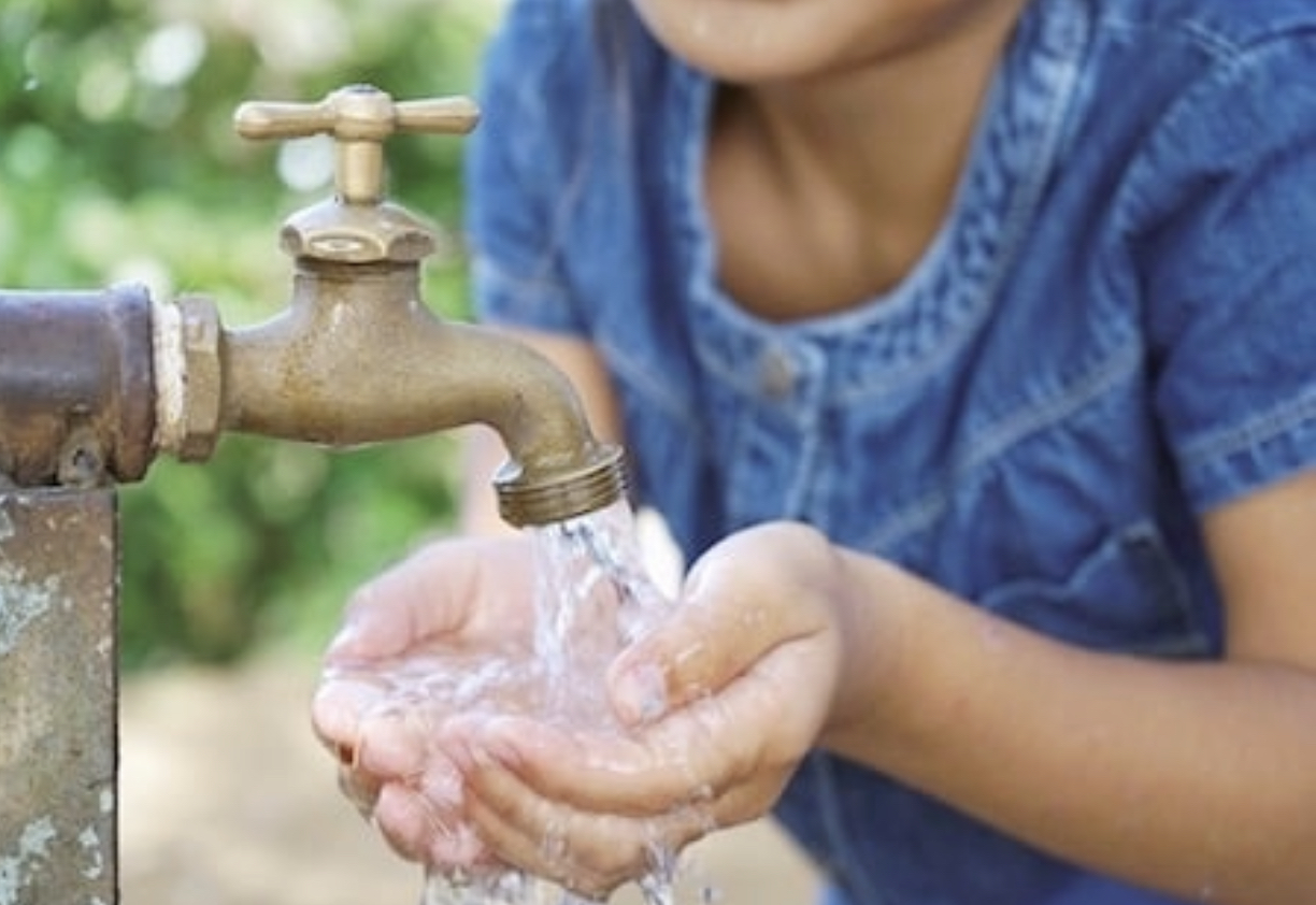 E87F7FA4-18AE-4031-ADF4-556F4A6AE821