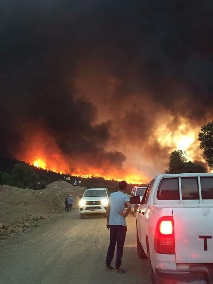 F26C1AB6-58FB-4753-B597-A0805AA93F62