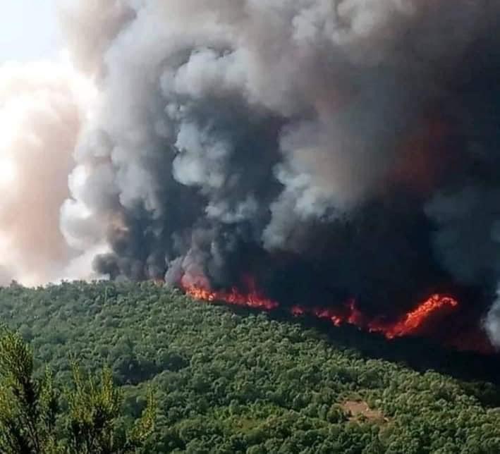 F4FEBF89-2577-43B0-9A6C-B1EDCC0FC0D7