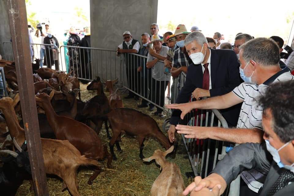 06622BCF-4CBA-4830-AD78-80C88A085BFB