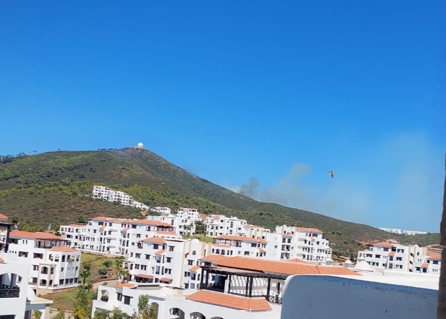 13825F12-26E9-434A-BD26-D05EBC658722