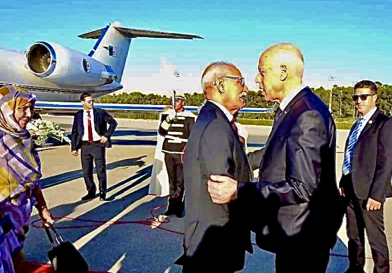 3360176B-D23E-42D1-B536-16938402A106