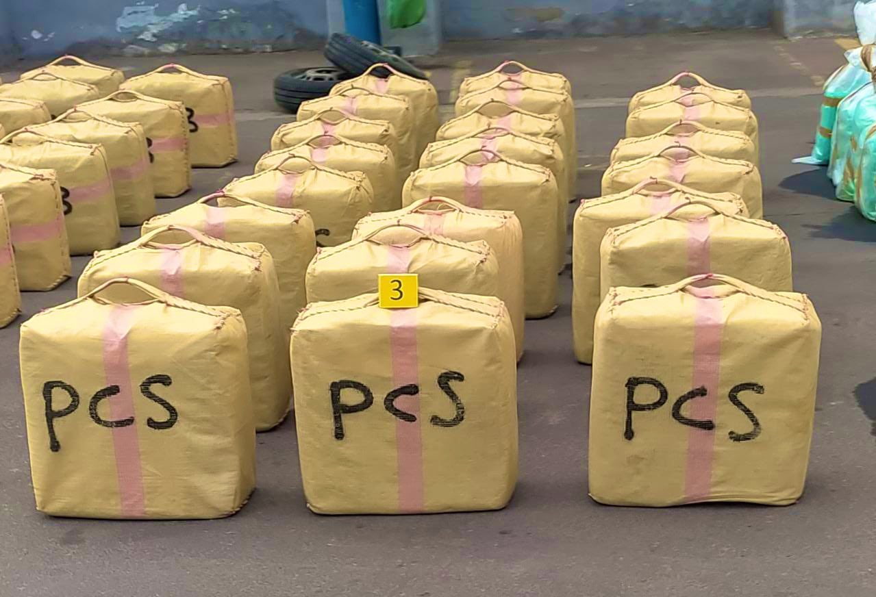 5384E12A-633B-42EE-9657-32FF23C879F4