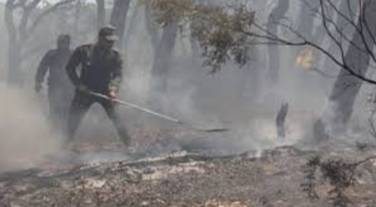 64D9B959-4923-4BA4-807C-9FA705A7C75E