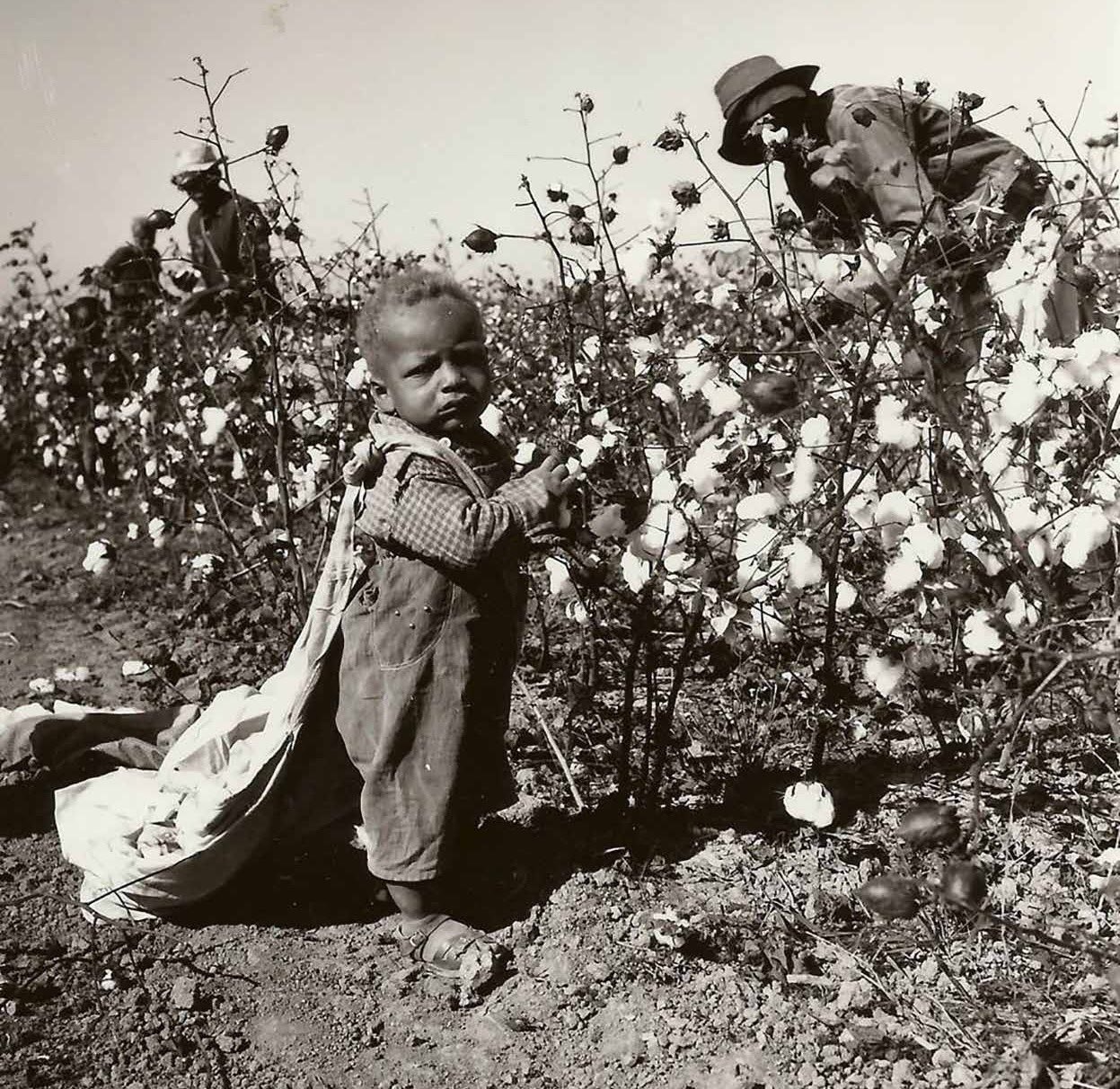 9D8C3D23-DAEF-43F0-B8A0-7A606C0FD43F