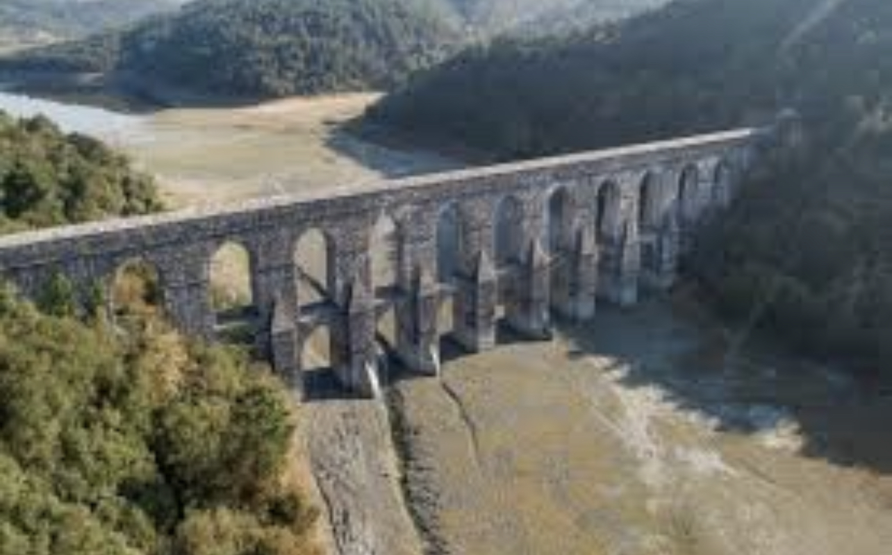 A294D893-8022-422F-8439-483FC374DFEC