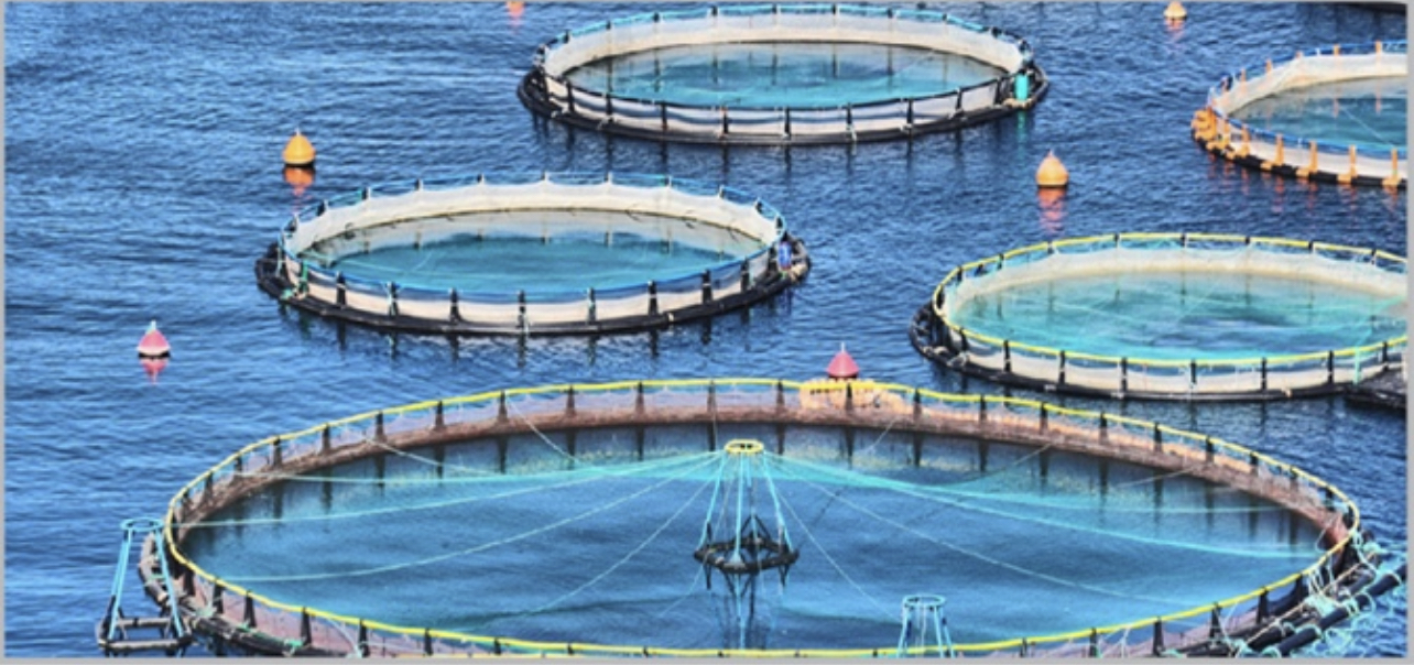 DC133CC2-3AED-45DD-8FC4-A661727D01FC