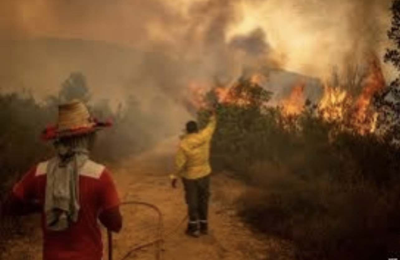 DDDFEB83-2C82-491F-9902-503467213299