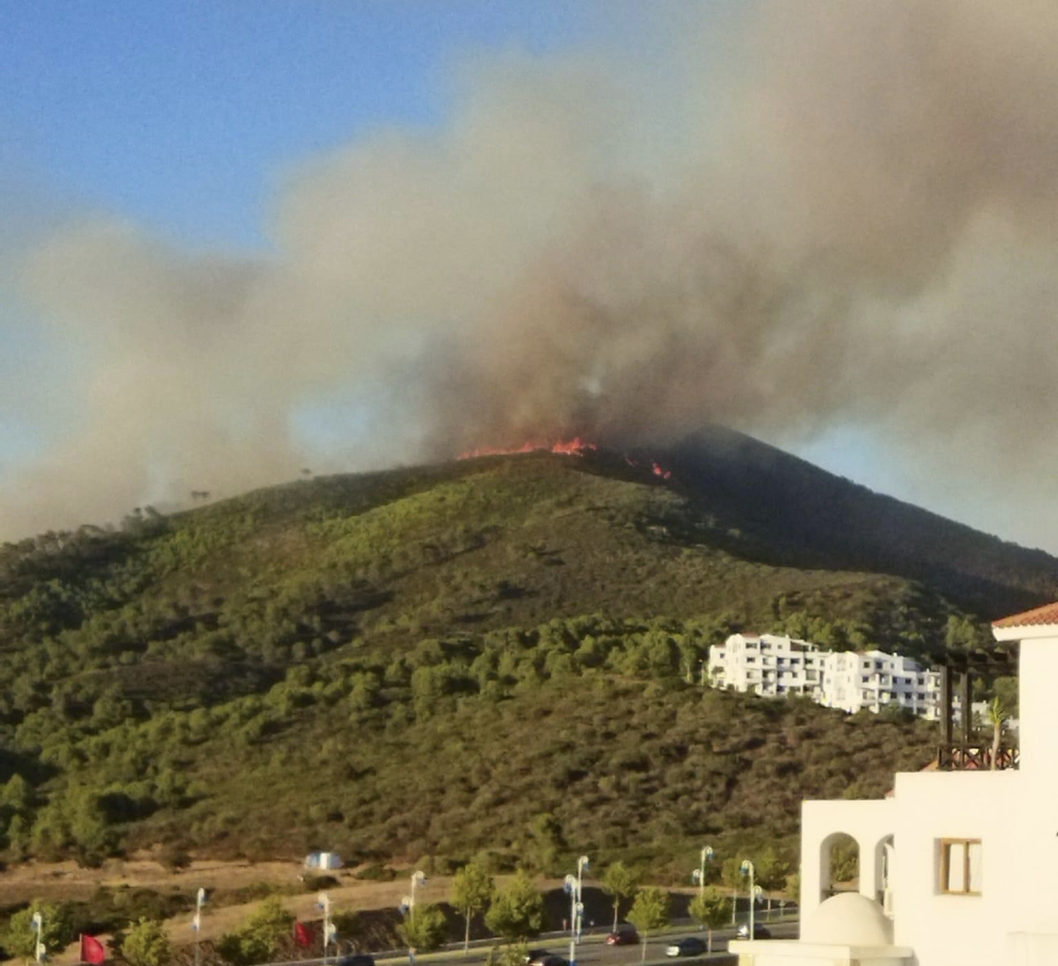 F579F63D-FAEF-46BC-AB63-2AA2588ACA1F