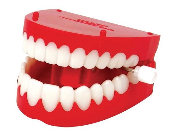 WhatsApp-Image-2018-11-21-at-11.25.34-550x430