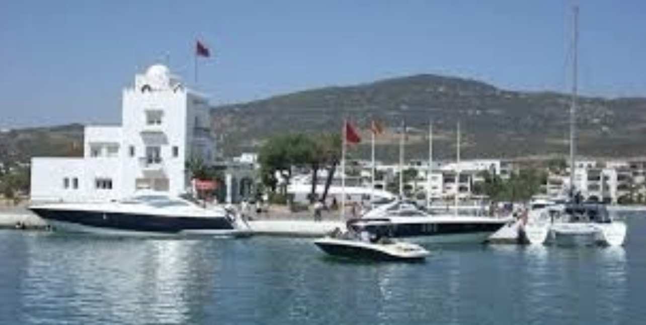 0E41035F-62BA-4BD6-B1B7-1C05ED25EC39