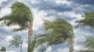 146DD6BB-FD1F-4934-BDF2-FDEB184E51A4